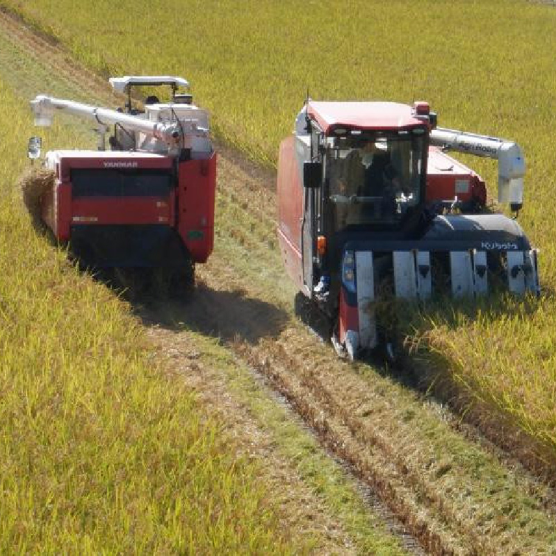 【令和7年産・新米】【一等米】 ＜定期便12回＞ ハナエチゼン 精米 10kg × 12回（120kg）《発送直前精米！》 ／ 福井県産 ブランド米 ご飯 白米 お米 コメ 新鮮 大賞 受賞 新米 [aw012-o004]