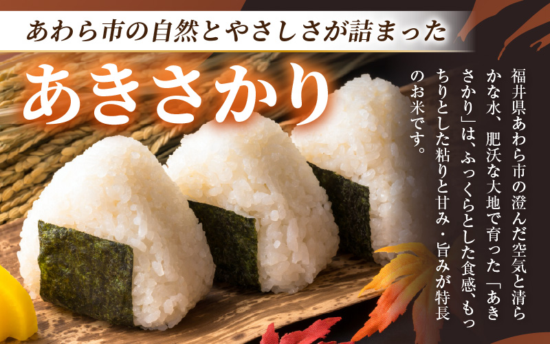 【令和7年産・新米】定期便 ≪12ヶ月連続お届け≫ あきさかり 精米 10kg × 12回（計120kg） ／ 福井県産 ブランド米 ご飯 白米 お米 コメ 新鮮 新米 [aw012-o007]