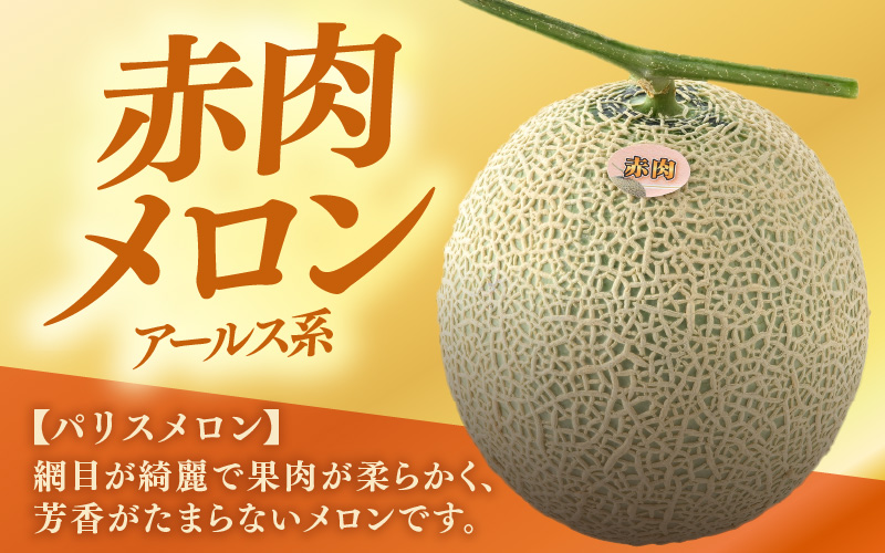 【先行予約】赤肉パリスメロン 秀品 1玉（1.5kg以上）【アールス系赤肉メロン】《糖度16度程度！1株1果採りで育てる高級メロン！》／ 果物 フルーツ 農家直送 赤肉 マスクメロン アールスメロン ギフト 贈答用 ※2026年7月上旬より順次発送予定 [aw028-a005]