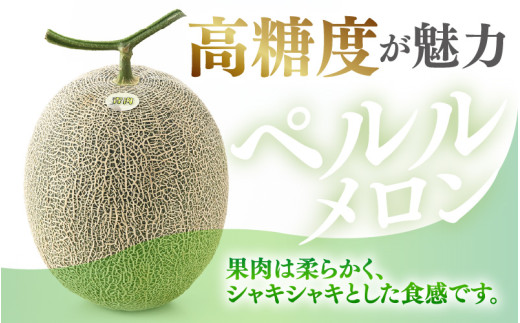 【先行予約】青肉ペルルメロン 秀品 1玉（1.7kg以上）【ネット系青肉メロン】《糖度16度程度！1株1果採りで育てる高級メロン！》／ 果物 フルーツ 農家直送 青肉 ネット系メロン ギフト 贈答用 ※2026年7月上旬より順次発送予定 [aw028-a006]