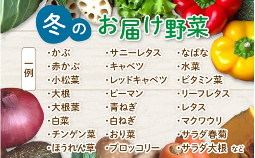 【先行予約】農家直送 冬野菜セット 1箱 7品目以上 《元気に育った新鮮野菜！》※2025年12月上旬以降発送 [aw028-a011]