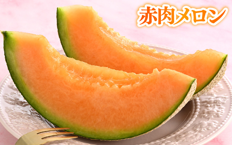 【先行予約】青肉アールスナイト 赤肉パリスメロン 秀品 各1玉（1.5kg以上×2玉）【アールス系メロン】《糖度16度程度！1株1果採りで育てる高級メロン！》／ 果物 フルーツ 農家直送 青肉 赤肉 セット マスクメロン アールスメロン ギフト 贈答用 ※2026年7月上旬より順次発送予定 [aw028-a013]