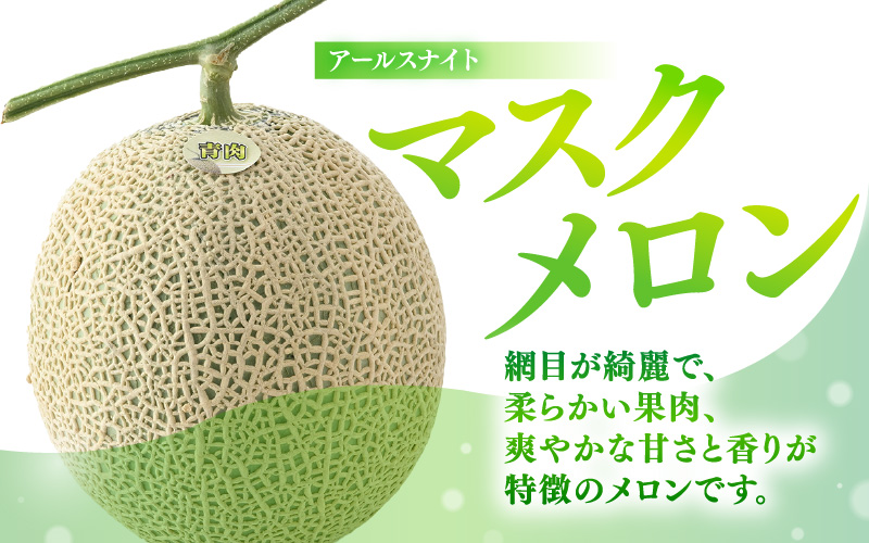 【先行予約】青肉アールスナイト 秀品 1玉（1.5kg以上）【アールス系青肉メロン】《糖度16度程度！1株1果採りで育てる高級メロン！》／ 果物 フルーツ 農家直送 青肉 マスクメロン アールスメロン ギフト 贈答用 ※2026年7月上旬より順次発送予定 [aw028-a016]