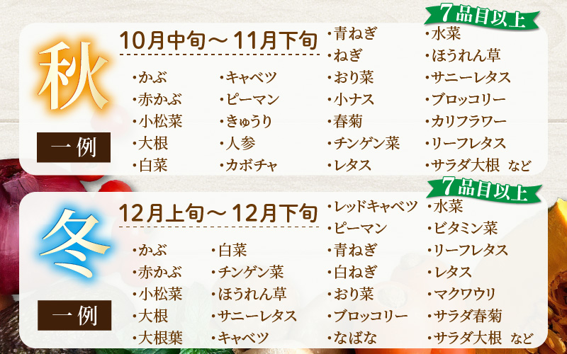 ＜定期便 4回＞ 新鮮野菜セット 1箱 7品目以上 【春 夏 秋 冬 発送】 [aw028-b001]