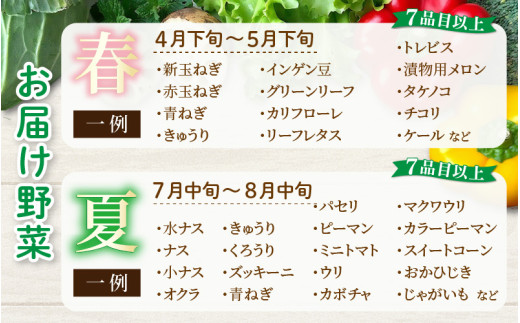 ＜定期便 4回＞ 新鮮野菜セット 1箱 7品目以上 【春 夏 秋 冬 発送】 [aw028-b001]