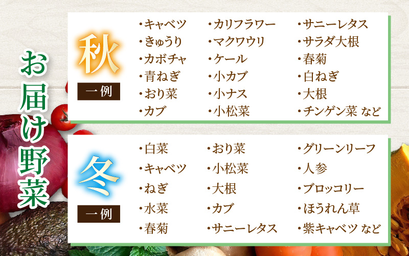 【12ヶ月連続お届け】農家直送 旬の野菜セット 7品目以上 1箱 / 定期便 12ヶ月 12回 [aw028-f001]