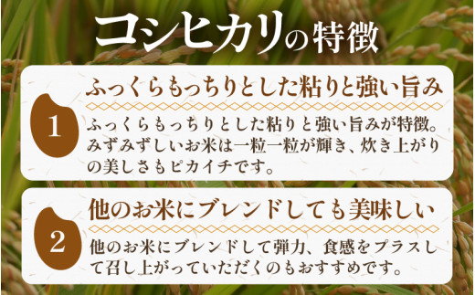 【先行予約】【令和8年産 新米】《定期便》5kg×3回 15kg 特別栽培米 コシヒカリ 低農薬 《食味値85点以上！こだわり極上米》 / 福井県 あわら 北陸 米 お米 人気 高品質 鮮度抜群 新米 ※2026年9月上旬より順次発送 [aw032-e006]