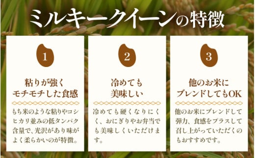 【先行予約】【令和8年産 新米】定期便《12ヶ月連続お届け》5kg×12回 60kg 特別栽培米 ミルキークイーン 精米 低農薬 《食味値85点以上！こだわり精米》 / 福井県 あわら市 北陸 米 お米 人気 白米 精米 ※2026年9月下旬より順次発送 [aw032-o005]
