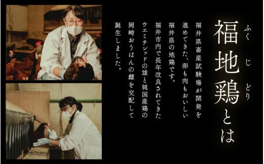 【12ヶ月連続お届け】福井ブランド「福地鶏」の卵 50個 濃厚で甘くておいしい！（25個入×2段）定期便 ／ 卵 たまご 鶏卵 生卵 有精卵 高級 高級卵 福地鶏 鶏 平飼い 美味しい こだわり 12ヶ月 定期便 卵かけご飯 料理 値下げ あわら市 福井県産 [aw036-l001]