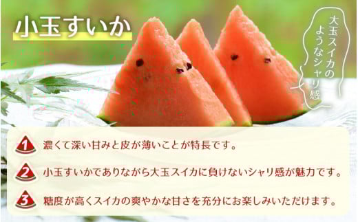 【先行予約】小玉すいか 愛娘(まなむすめ) 2kg以上 2玉入 ＜大玉のようなシャリ感！皮際まで抜群に甘い＞ / 期間限定 果物 フルーツ 産地直送 スイカ 小玉スイカ ※2026年6月上旬より順次発送 [aw039-a001]