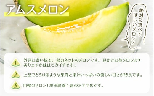 【先行予約】アムス・マリアージュメロン 2種（1.3kg以上2玉入）農園1番のおすすめ！ / 期間限定 果物 フルーツ 産地直送 青肉 赤肉 人気 ※2026年7月上旬より順次発送 [aw039-a003]