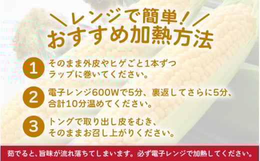 【先行予約】秋とうもろこし 黄色 白色 計8本 おおもの 朝採り ／ 期間限定 数量限定 ハウス栽培 産地直送 甘い ミックス スイートコーン 白い とうもろこし ホワイトコーン 野菜 あわら ※2026年10月10日より順次発送 [aw039-a012]
