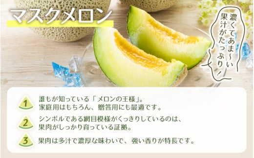 【先行予約】青肉マスクメロン（1.5kg以上 1玉入）味も見た目も抜群！アールスメロン  / 期間限定 果物 フルーツ 産地直送 青肉 人気 ギフト 贈答 ※2026年7月上旬より順次発送 [aw039-a015]