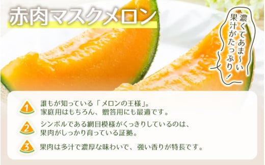 【先行予約】赤肉マスクメロン（1.5kg以上 1玉入）味も見た目も抜群！アールスメロン  / 期間限定 果物 フルーツ 産地直送 赤肉 人気 ギフト 贈答 ※2026年7月上旬より順次発送 [aw039-a016]
