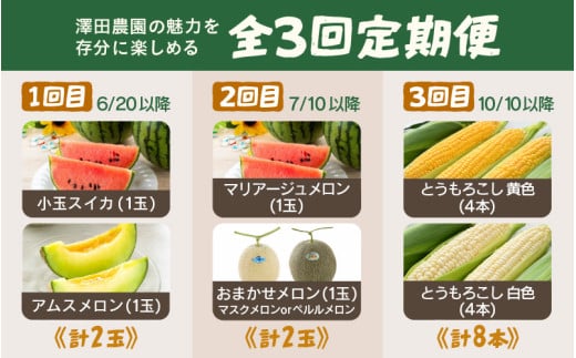 【先行予約】≪定期便/全3回≫フルーツ王国あわらのこだわり5品 農家直送 厳選品／ 期間限定 果物 フルーツ 青肉メロン 赤肉メロン 西瓜 とうもろこし 産地直送 ※2026年6月中旬より順次発送 [aw039-c001]