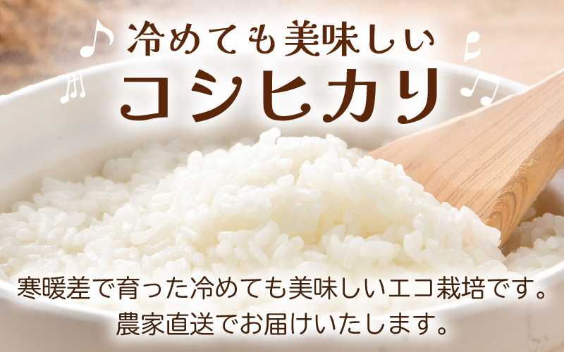 【先行予約】【令和8年産 新米】ワルツ農場の直播き コシヒカリ クリーン精米（無洗米） 5kg / お米 ご飯 白米 発送直前 精米 つや 艶 甘味 旨み あわら市産 福井県産 慣行栽培 コメ 北陸 福井県 あわら市 ※2026年10月下旬以降発送予定 [aw046-a007]