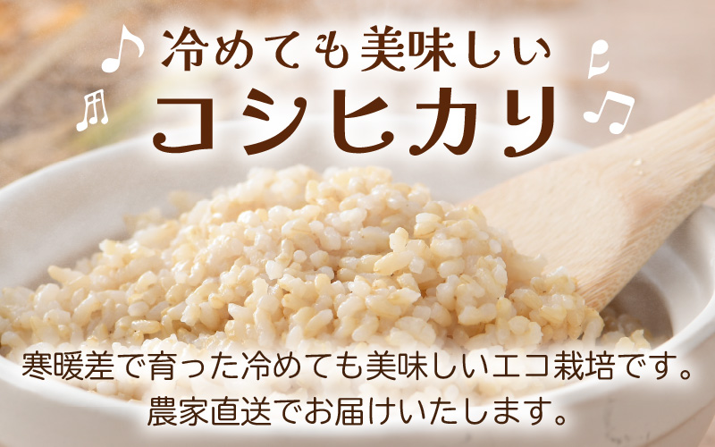 【先行予約】【令和8年産 新米】ワルツ農場の直播き コシヒカリ 玄米 5kg / お米 ご飯 つや 艶 甘味 旨み あわら市産 福井県産 慣行栽培 コメ 北陸 福井県 あわら市 ※2026年10月下旬以降発送予定 [aw046-a006]