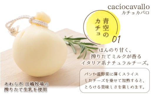 カチョカバロ 2種 詰め合わせ [aw054-a002]