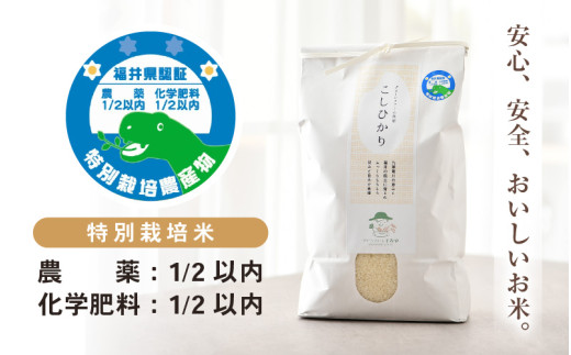 【令和7年産 新米】 特別栽培米 コシヒカリ 無洗米 5kg 低農薬 / 北陸 福井県産 あわら市 ブランド米 白米 お米 コメ 特栽米 [aw056-a025]