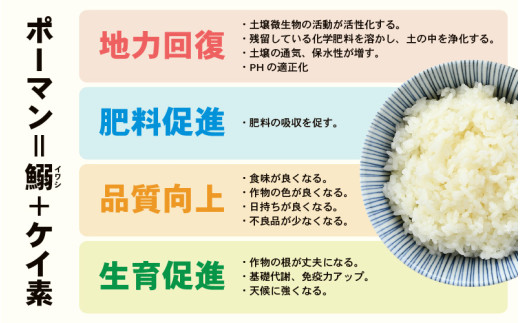 【令和7年産】 特別栽培米 コシヒカリ 無洗米 5kg 低農薬 / 北陸 福井県産 あわら市 ブランド米 白米 お米 コメ 特栽米 [aw056-a025]