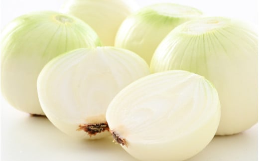 【先行予約】玉ねぎ 5kg（サイズ S M L ミックス）田んぼで育てた甘くて柔らか自慢の玉ねぎ！／ 野菜 万能 料理 常備 玉葱 BBQ たまねぎ 玉ネギ サラダ スープ ※2026年7月上旬より順次発送予定 [aw056-a021]