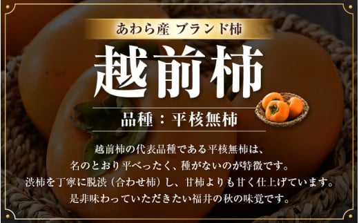 【先行予約】越前柿 16個入 約2.5kg（M～2L）≪JA受賞歴親子２代≫ ／ 果物 フルーツ 柿 産地直送 期間限定 ※2026年11月上旬より順次発送 [aw061-a003]