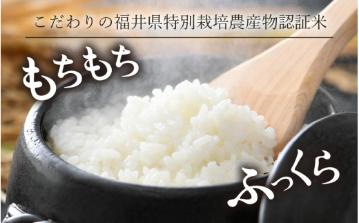 【先行予約】【令和8年産 新米】 ミルキークイーン 精米 5kg 特別栽培米 農薬不使用 化学肥料不使用 ／ 高品質 鮮度抜群 福井県産 ブランド米 ※2026年10月上旬以降順次発送 [aw063-a008]
