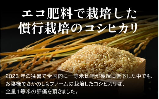 【先行予約】【令和8年産 新米】エコ栽培コシヒカリ 玄米10kg（5kg×2） ／ 鮮度抜群 福井県産 こしひかり ご飯 新鮮 玄米 ※2026年10月上旬以降順次発送 [aw063-b007]