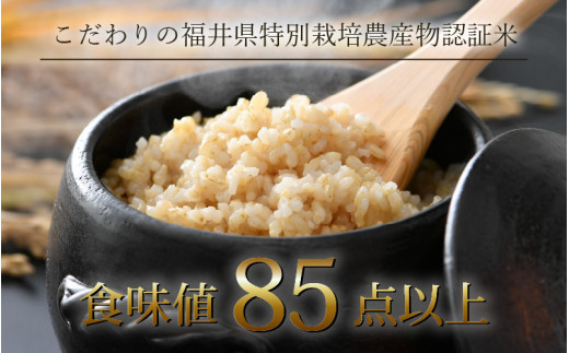 【先行予約】【令和8年産 新米】定期便《12ヶ月連続お届け》コシヒカリ 玄米 5kg （計60kg）特別栽培米 農薬不使用 化学肥料不使用 ／ 残留農薬ゼロ 高品質 鮮度抜群 福井県産 ブランド米 玄米 ※2026年10月上旬以降順次発送 [aw063-n003]