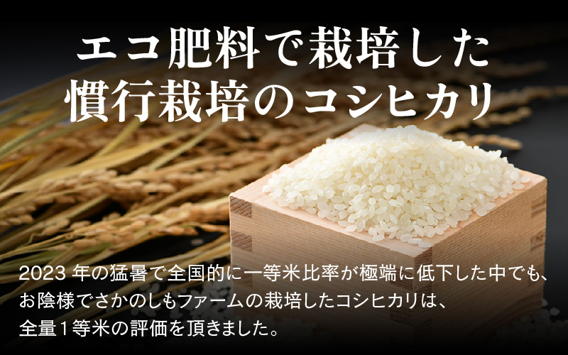 【先行予約】【令和8年産 新米】《定期便6回》エコ栽培コシヒカリ 白米10kg（5kg×2袋）計60kg ／ 鮮度抜群 福井県産 こしひかり ご飯 新鮮 白米 ※2026年10月上旬以降順次発送 [aw063-l004]