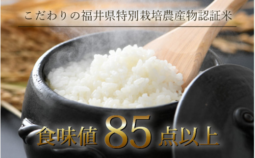 【先行予約】【令和8年産 新米】定期便《12ヶ月連続お届け》コシヒカリ 精米 5kg （計60kg）特別栽培米 農薬不使用 化学肥料不使用 ／残留農薬ゼロ 高品質 鮮度抜群 福井県産 ブランド米 白米 ※2026年10月上旬以降順次発送 [aw063-o005]