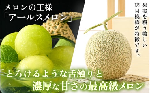 【先行予約】【青肉】アールスメロン 1玉（約1.6kg以上）青肉品種 高級メロン！ ／ マスクメロン 大玉 果物 フルーツ 夏 ギフト 農家直送 ※2026年6月下旬以降順次発送予定 [aw065-a001]