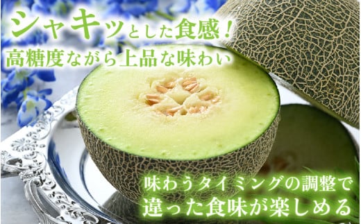【先行予約】ペルルメロン 1玉（約2kg以上）青肉品種 高級メロン！ ／ マスクメロン 大玉 果物 フルーツ ギフト 農家直送 ※2026年6月下旬以降順次発送 [aw065-a006]