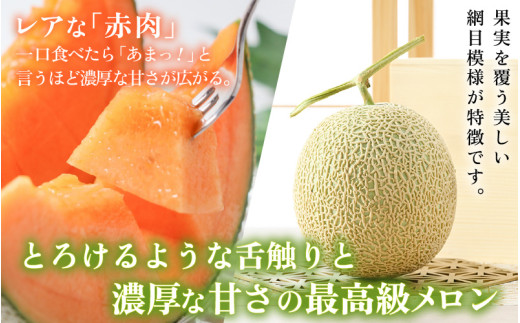 【先行予約】【赤肉】秋 アールスメロン 1玉（約1.6kg以上） 高級メロン！ ／ マスクメロン 大玉 果物 フルーツ 夏 ギフト 農家直送 ※2026年9月中旬以降発送 [aw065-a010]