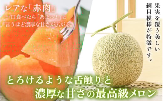 【先行予約】【赤肉】秋 アールスメロン 2玉（計約3.2kg以上）赤肉品種 高級メロン！ ／ マスクメロン 大玉 果物 フルーツ 夏 ギフト 農家直送  ※2026年9月中旬以降発送 [aw065-a011]