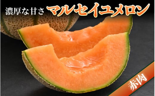【先行予約】佐藤農園のマルセイユメロン 約5kg 秀品（3～5玉入）深みのある甘さ とろける濃厚な赤肉！農家直送 有機肥料 低農薬 ※2026年6月発送上旬より順次発送予定 [aw069-a003]