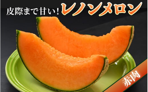 【先行予約】レノンメロン 3L 2玉入 約2.6～3kg《秀品》コク深い甘さ・香りいっぱいのメロン！農家直送 有機肥料 低農薬 赤肉 マスクメロン 高級メロン ※2026年6月中旬より順次発送 [aw069-a006]