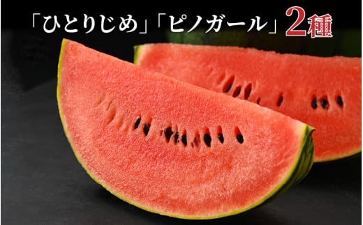 【先行予約】抜群の甘さ！佐藤農園の小玉スイカ 食べ比べセット 2玉（計3kg以上）／ 秀品 農家直送 有機肥料 低農薬 ※2026年6月上旬より順次発送予定 [aw069-a007]