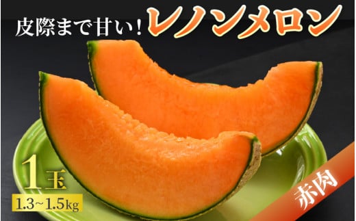 【先行予約】佐藤農園の赤肉と青肉食べ比べ計2玉（レノンメロン・アンデスメロン）農家直送 秀品 お届け！ / フルーツ くだもの 特産 旬 夏 果物 完熟  メロン 朝どれ 美味しい お取り寄せ 贈答 ※2026年6月中旬より順次発送 [aw069-a011]