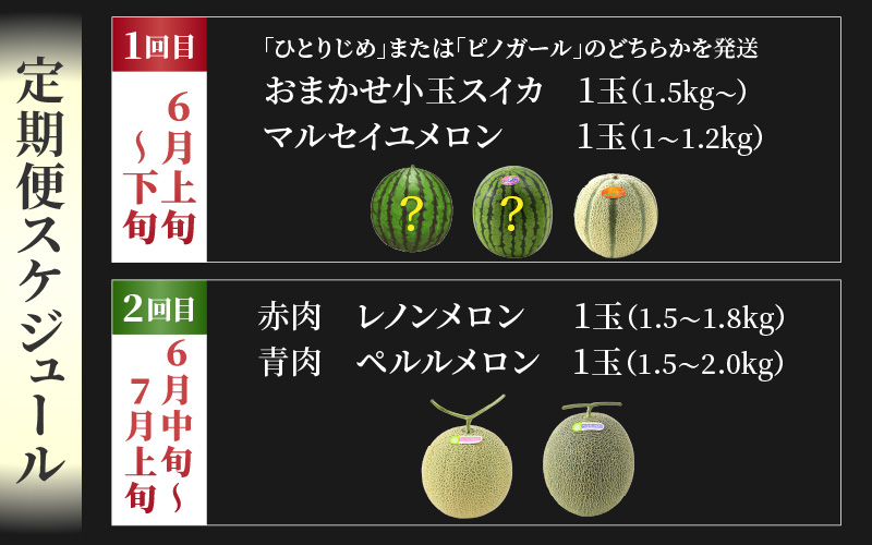 【先行予約】《定期便全2回》佐藤農園のフルーツ定期便 朝採り 計4玉（小玉スイカ・マルセイユメロン・レノンメロン・ペルルメロン）農家直送 秀品 お届け！※2026年6月上旬より順次発送 [aw069-b001]