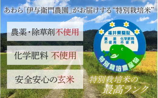 【先行予約】【令和8年産 新米】伊与衛門農園のコシヒカリ 玄米 5kg 特別栽培米 化学肥料不使用 ＜温度と湿度を常時管理し新鮮米を出荷！＞／ 高品質 鮮度抜群 福井県あわら産 ブランド米 お米 ※2026年9月下旬より順次発送予定 [aw071-a008]
