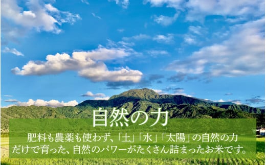【先行予約】【令和8年産 新米】【定期便12回】伊与衛門農園の自然栽培コシヒカリ精米 5kg×12回 伊与衛門農園の特別栽培米＜温度と湿度を常時管理し新鮮米を出荷！＞ / 米 白米 自然の力 高品質 鮮度抜群 ブランド米 福井県 あわら市産 スマート農業 ※2026年10月下旬以降順次発送 [aw071-o004]