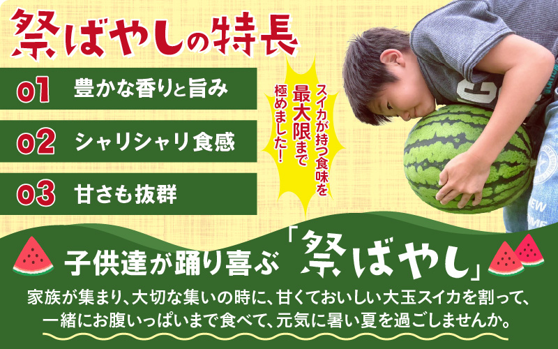 【先行予約】藤重農園の大玉スイカ『祭ばやし』 1玉（7kg～） ≪満足度高い大きなスイカ≫※2026年6月中旬以降順次発送 [aw083-a001]