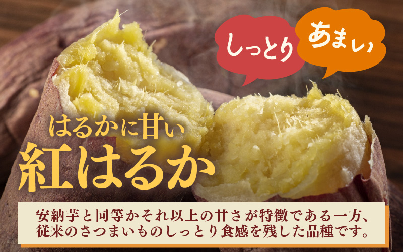 あわら市波松産 紅はるか 3kg / 厳選 不揃い さつまいも 土付き 熟成 焼き芋 福井県 薩摩芋 密芋 スイートポテト しっとり ほっくり 自然のスイーツ 極甘 農研機構許諾済 メディアで人気 腸活 [aw084-a001]