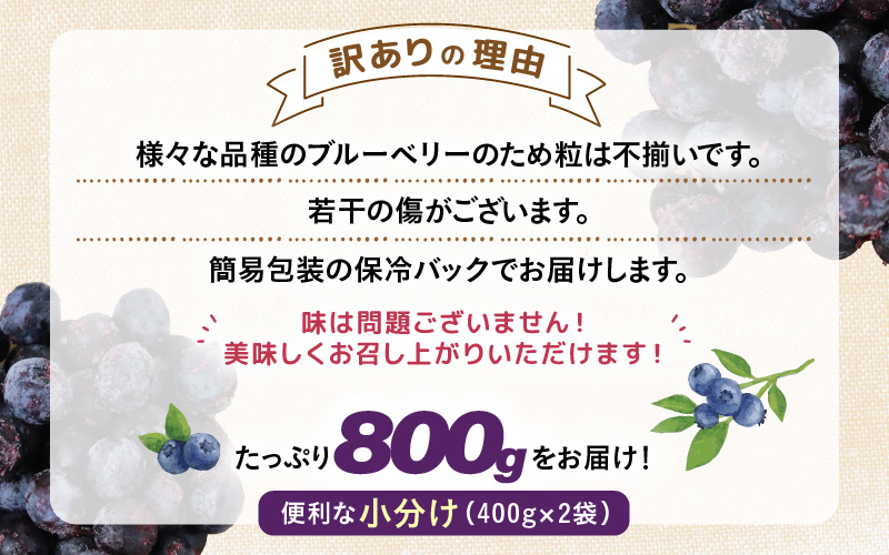 【先行予約】【訳あり】【冷凍】あわらフルーツランドのブルーベリー 800g （400g×2袋） 【完熟】 / フルーツ 果物 くだもの 福井県 あわら市 小分け 便利 たっぷり 完熟 ご当地 国産 おすすめ ※2026年8月上旬より順次発送 [aw091-a002]