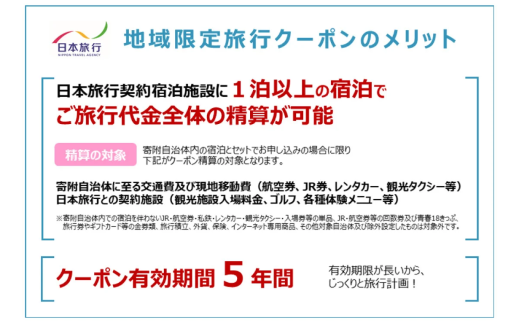 【福井県あわら市】 日本旅行 地域限定旅行クーポン【90,000円分】 ／ 旅行 宿泊 旅館 ホテル 宿泊券 チケット 北陸新幹線 観光 あわら温泉 北陸 福井県 あわら市 [aw095-p001]