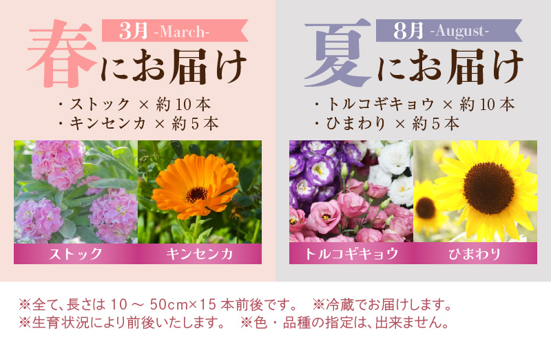 【定期便4回】花農家直送 新鮮な切花【春 夏 秋 冬】 / 生花 お花 旬の花束 豊かな生活 花のある生活 15本程度 2種 季節 年4回 [aw099-d001]