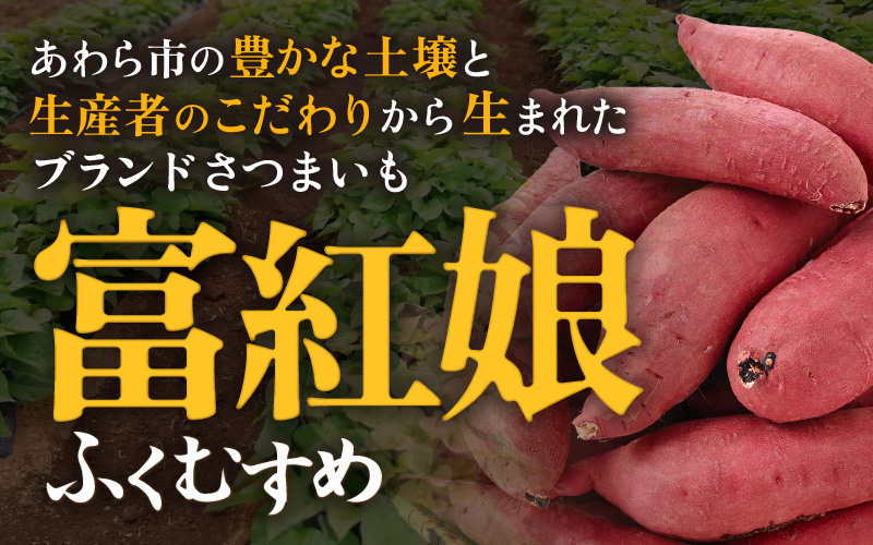さつまいも 富紅娘（ふくむすめ）S~2Lサイズ 5kg / 紅はるか べにはるか さつま芋 国産 芋 産地直送 熟成 サツマイモ [aw108-a001]
