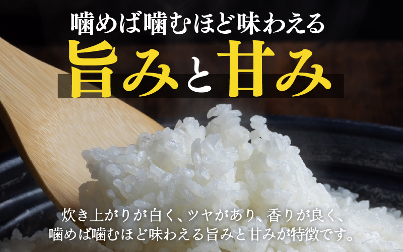 定期便 ≪6ヶ月連続お届け≫ 令和7年産 特別栽培米 コシヒカリ 精米 5kg×6回（計30kg） [aw121-i001]