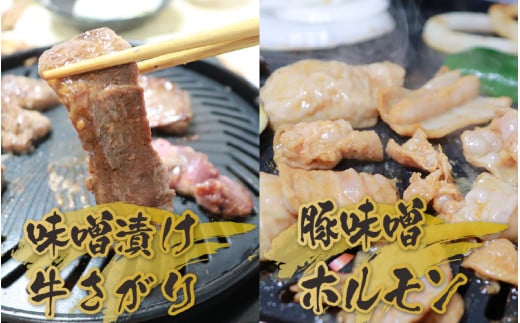 越前ホルモン屋 味噌漬け 人気ホルモンセット（計1kg）約8～10人前 ／ 味付け肉 豚肉 牛肉 小分け タレ漬け 焼肉 バーベキュー 冷凍 人気 キャンプ飯 BBQ 焼くだけ 時短調理 [aw001-a011]